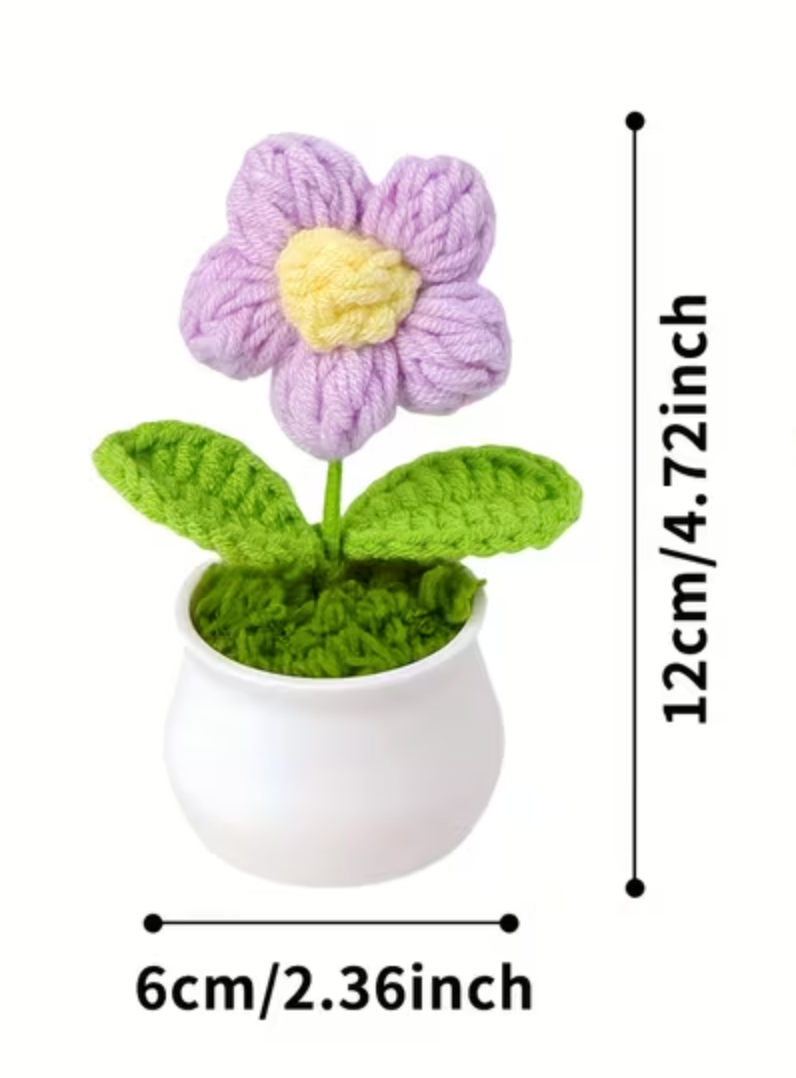 Bloom