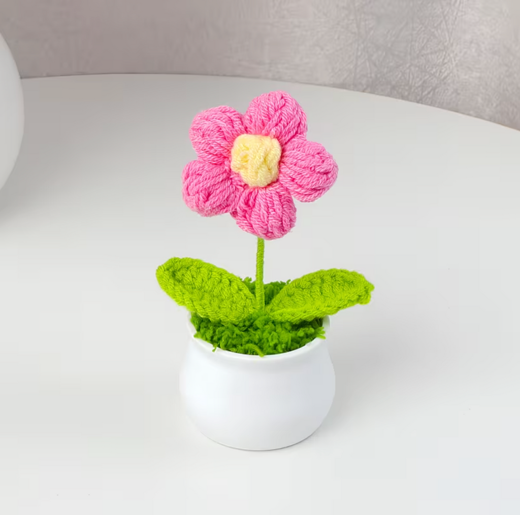 Bloom