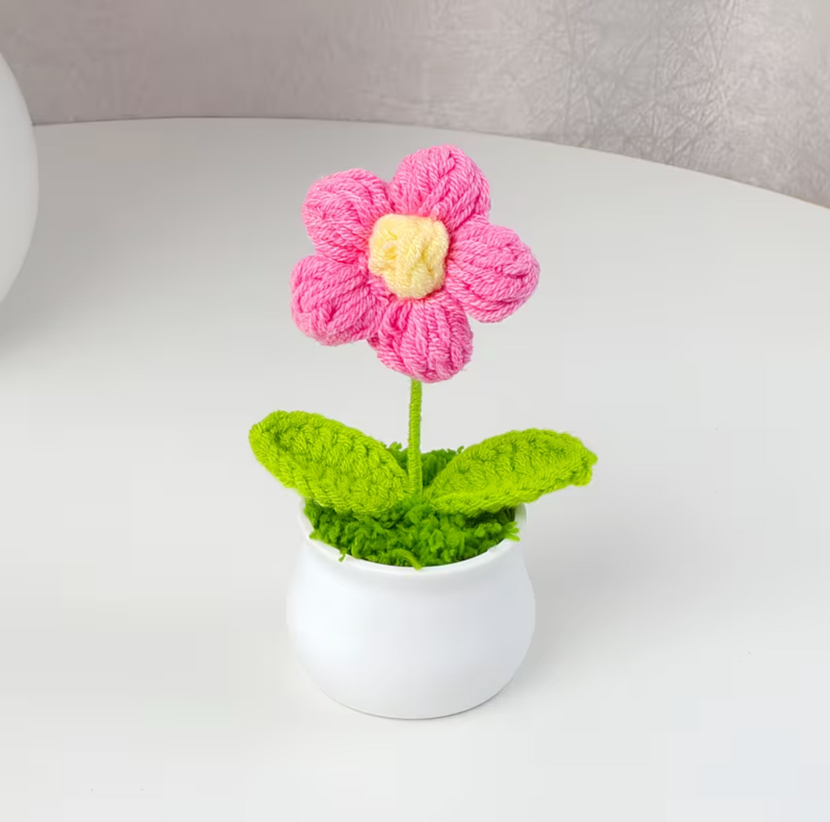 Bloom