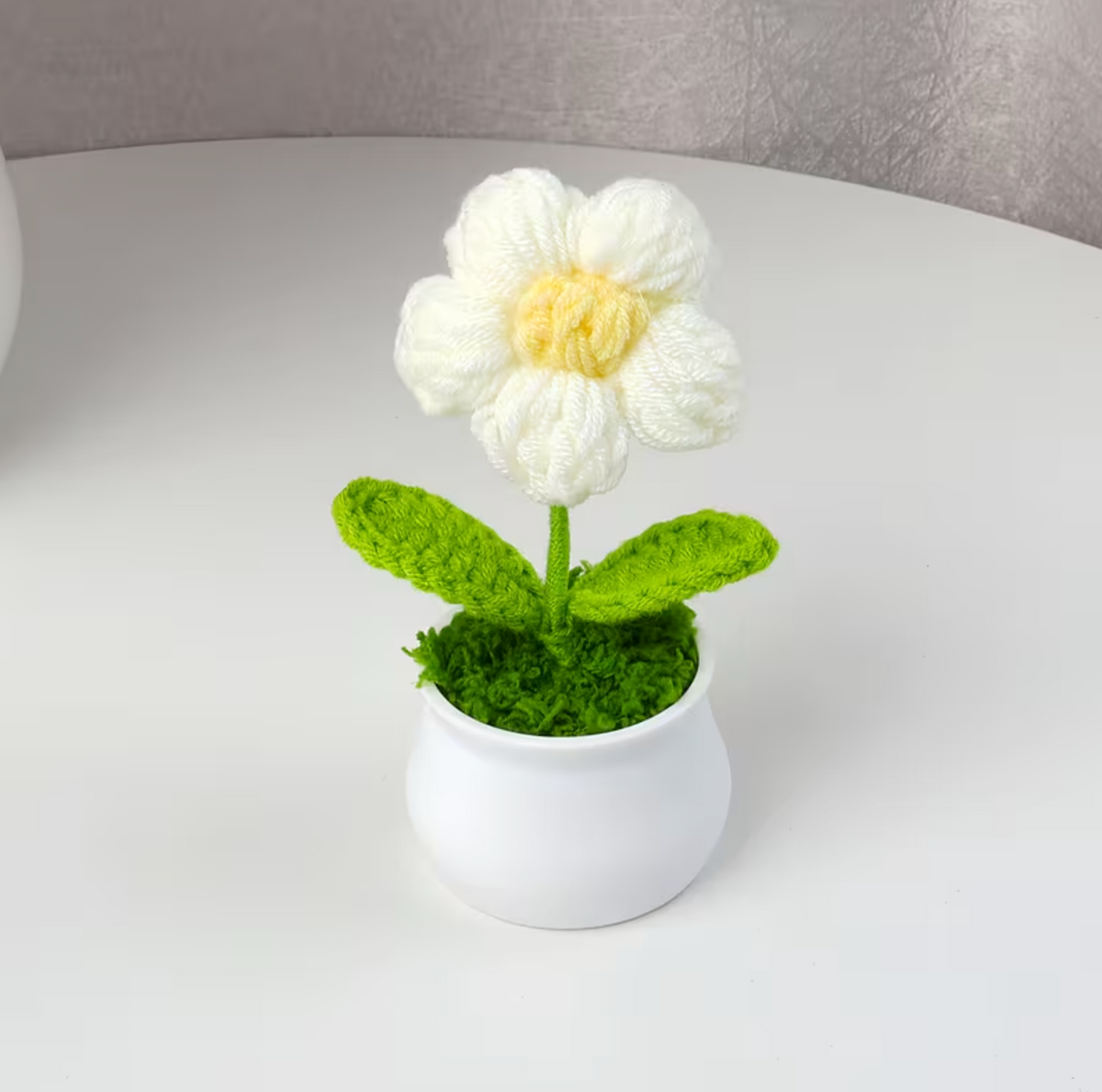 Bloom
