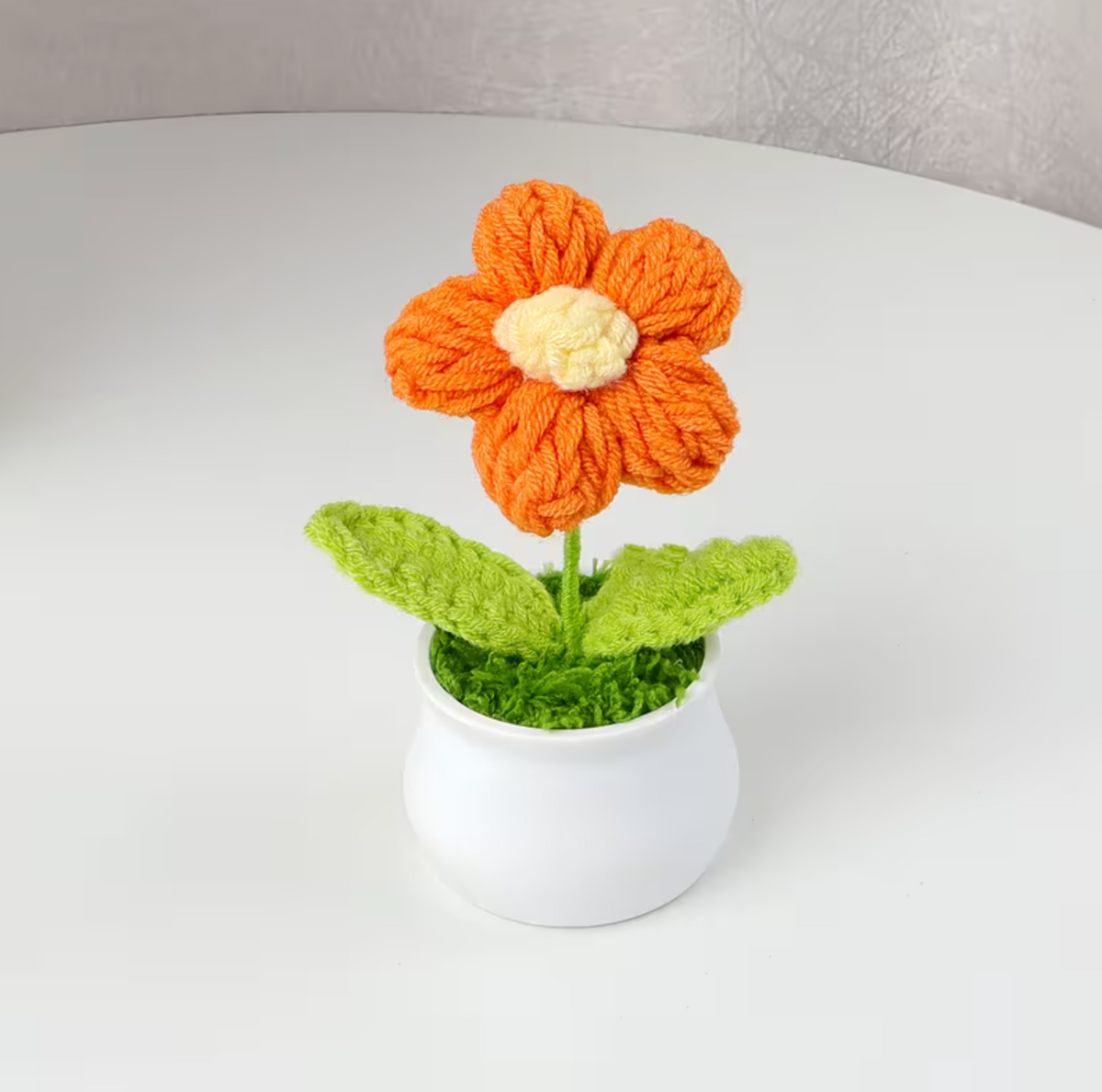 Bloom