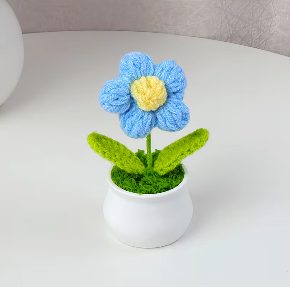 Bloom