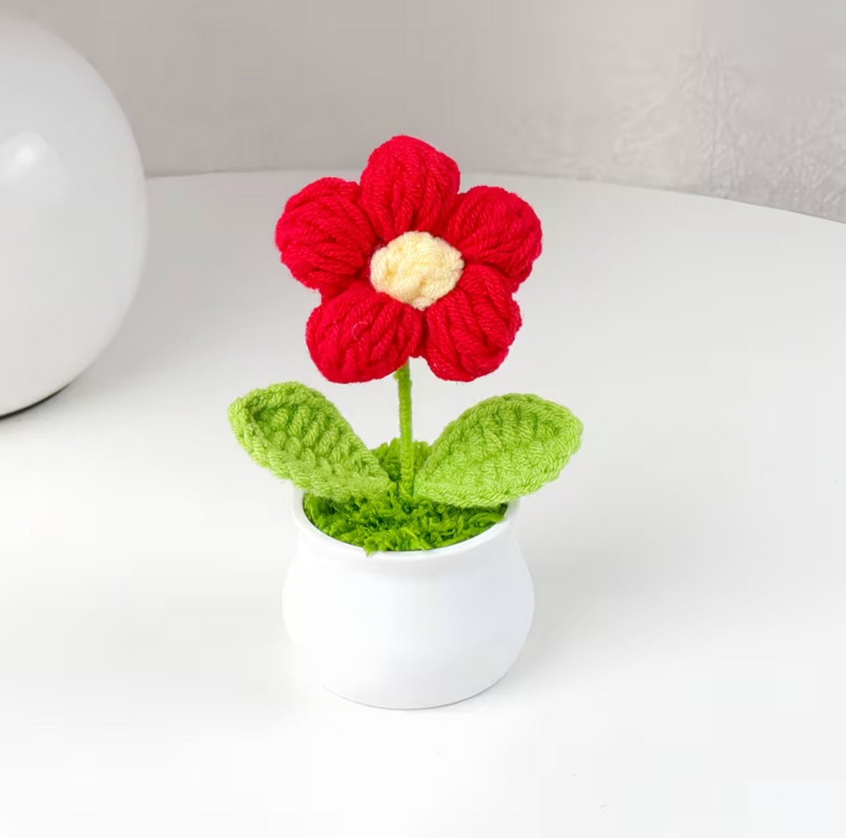 Bloom
