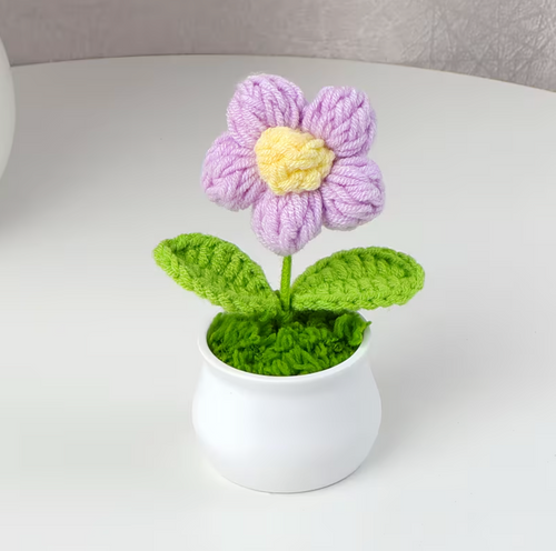 Bloom